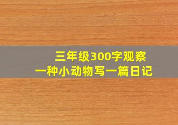 三年级300字观察一种小动物写一篇日记