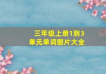 三年级上册1到3单元单词图片大全