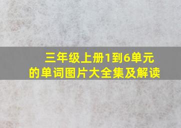 三年级上册1到6单元的单词图片大全集及解读