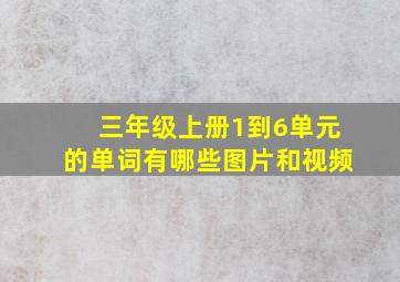 三年级上册1到6单元的单词有哪些图片和视频