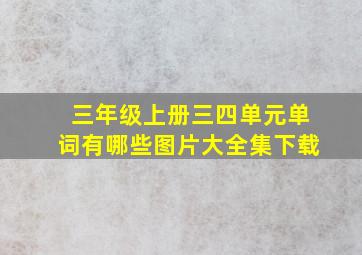 三年级上册三四单元单词有哪些图片大全集下载