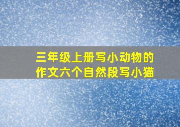 三年级上册写小动物的作文六个自然段写小猫