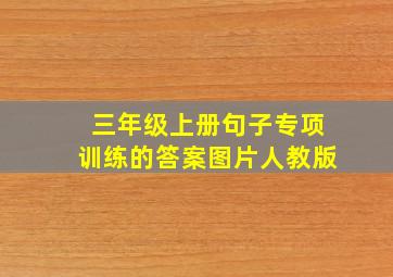 三年级上册句子专项训练的答案图片人教版