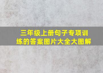 三年级上册句子专项训练的答案图片大全大图解