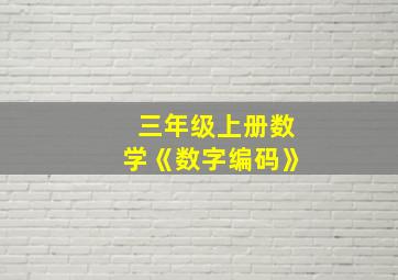 三年级上册数学《数字编码》