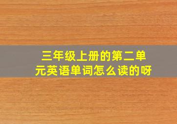 三年级上册的第二单元英语单词怎么读的呀