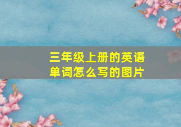 三年级上册的英语单词怎么写的图片