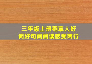 三年级上册稻草人好词好句阅阅读感受两行