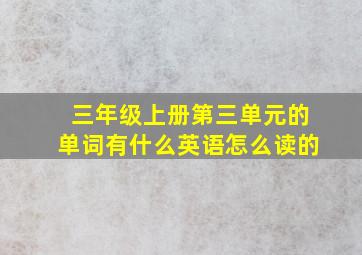 三年级上册第三单元的单词有什么英语怎么读的