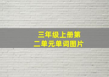 三年级上册第二单元单词图片