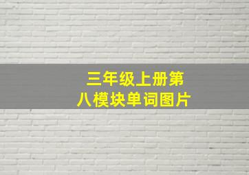 三年级上册第八模块单词图片