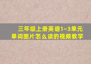 三年级上册英语1~3单元单词图片怎么读的视频教学