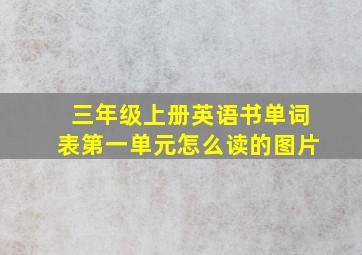 三年级上册英语书单词表第一单元怎么读的图片