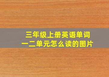 三年级上册英语单词一二单元怎么读的图片