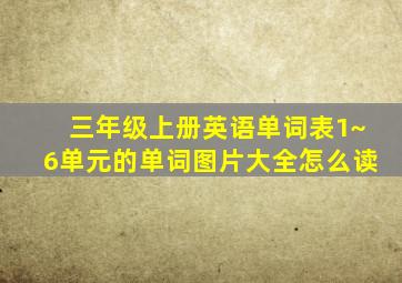 三年级上册英语单词表1~6单元的单词图片大全怎么读