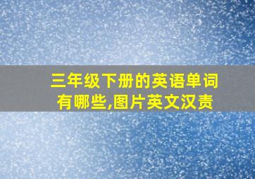 三年级下册的英语单词有哪些,图片英文汉责