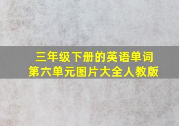 三年级下册的英语单词第六单元图片大全人教版