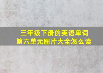 三年级下册的英语单词第六单元图片大全怎么读