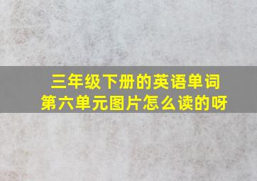 三年级下册的英语单词第六单元图片怎么读的呀