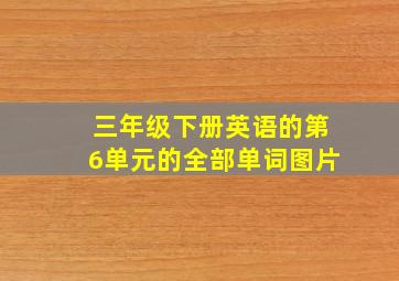 三年级下册英语的第6单元的全部单词图片