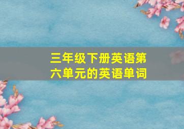 三年级下册英语第六单元的英语单词