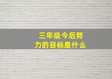 三年级今后努力的目标是什么