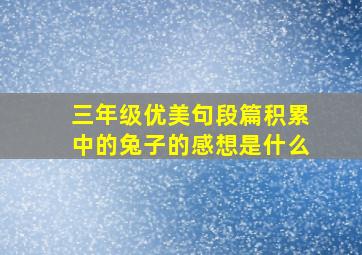 三年级优美句段篇积累中的兔子的感想是什么