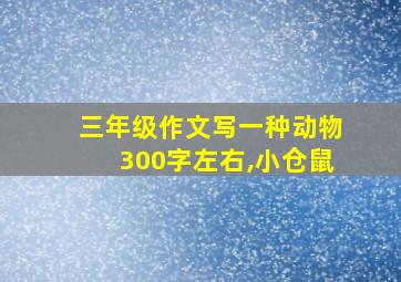 三年级作文写一种动物300字左右,小仓鼠