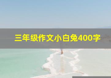 三年级作文小白兔400字