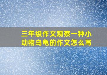 三年级作文观察一种小动物乌龟的作文怎么写