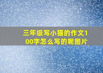 三年级写小猫的作文100字怎么写的呢图片