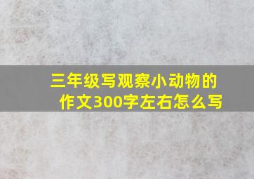 三年级写观察小动物的作文300字左右怎么写