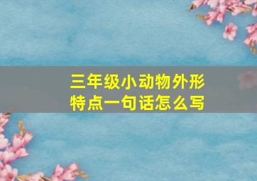 三年级小动物外形特点一句话怎么写