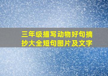 三年级描写动物好句摘抄大全短句图片及文字