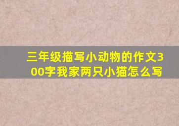 三年级描写小动物的作文300字我家两只小猫怎么写