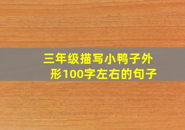 三年级描写小鸭子外形100字左右的句子