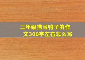 三年级描写鸭子的作文300字左右怎么写