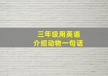 三年级用英语介绍动物一句话