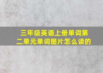 三年级英语上册单词第二单元单词图片怎么读的