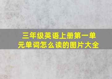 三年级英语上册第一单元单词怎么读的图片大全