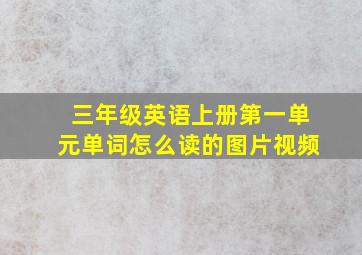 三年级英语上册第一单元单词怎么读的图片视频