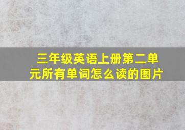 三年级英语上册第二单元所有单词怎么读的图片