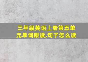 三年级英语上册第五单元单词跟读,句子怎么读