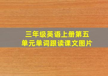 三年级英语上册第五单元单词跟读课文图片