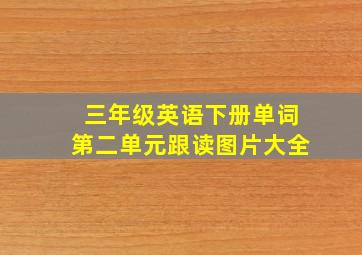 三年级英语下册单词第二单元跟读图片大全