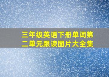 三年级英语下册单词第二单元跟读图片大全集