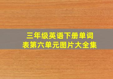 三年级英语下册单词表第六单元图片大全集