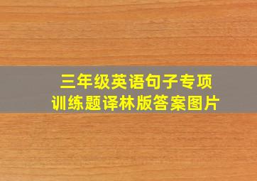 三年级英语句子专项训练题译林版答案图片