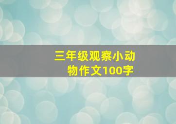 三年级观察小动物作文100字