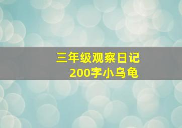 三年级观察日记200字小乌龟